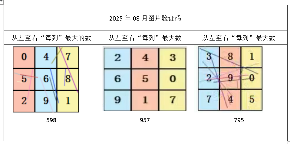 2025年08月验证码