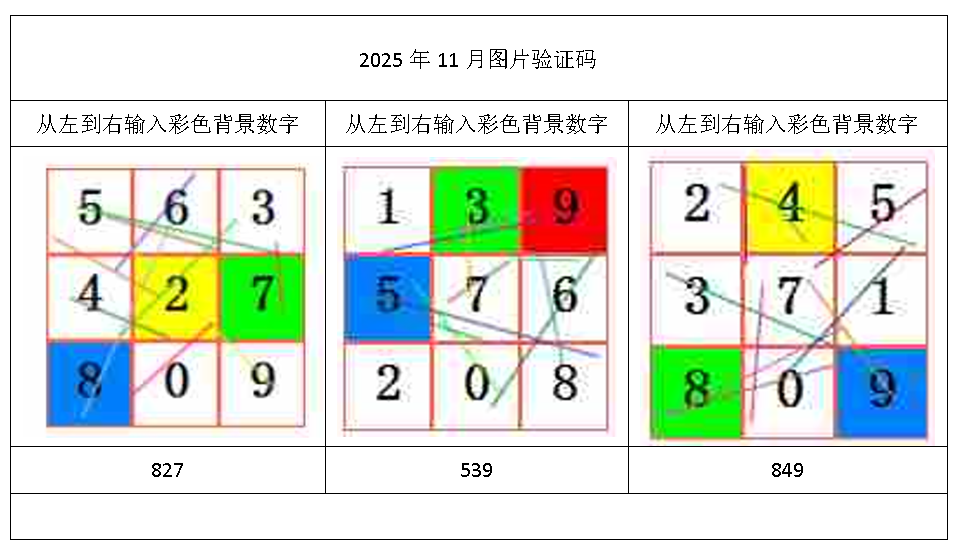 2025年11月验证码