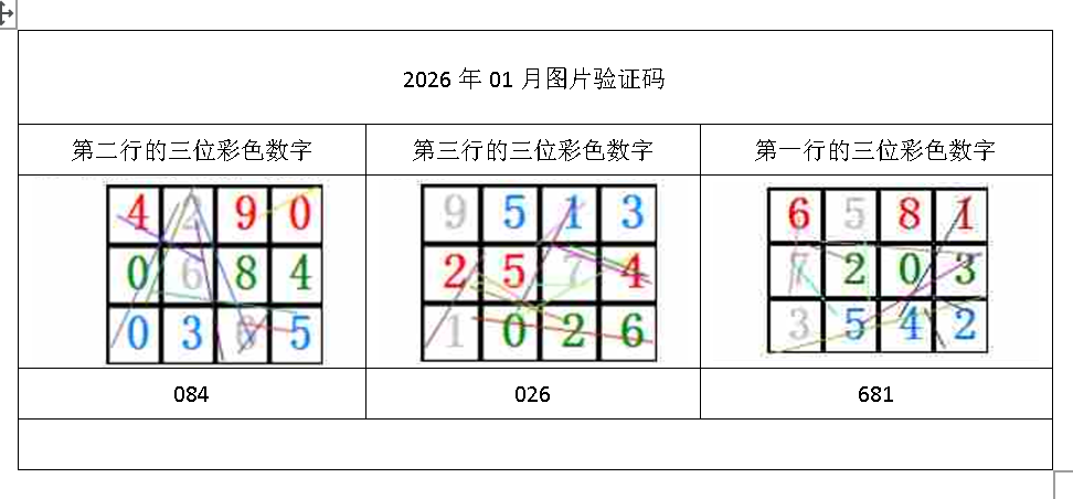 2026年01月验证码